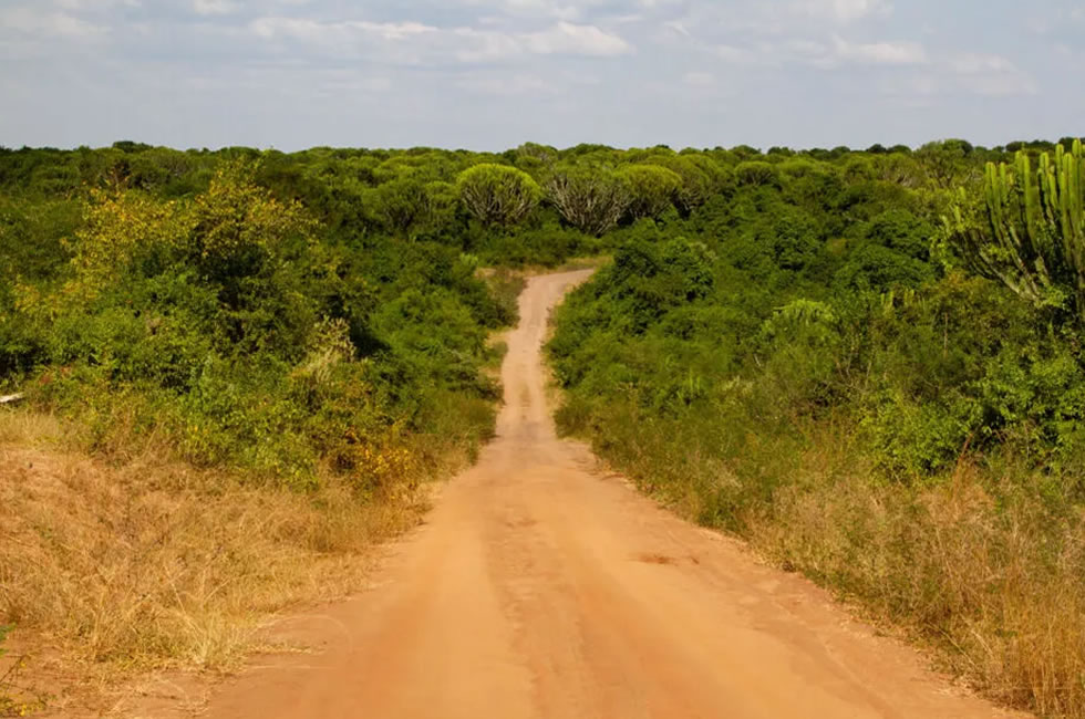 Road Trip Uganda
